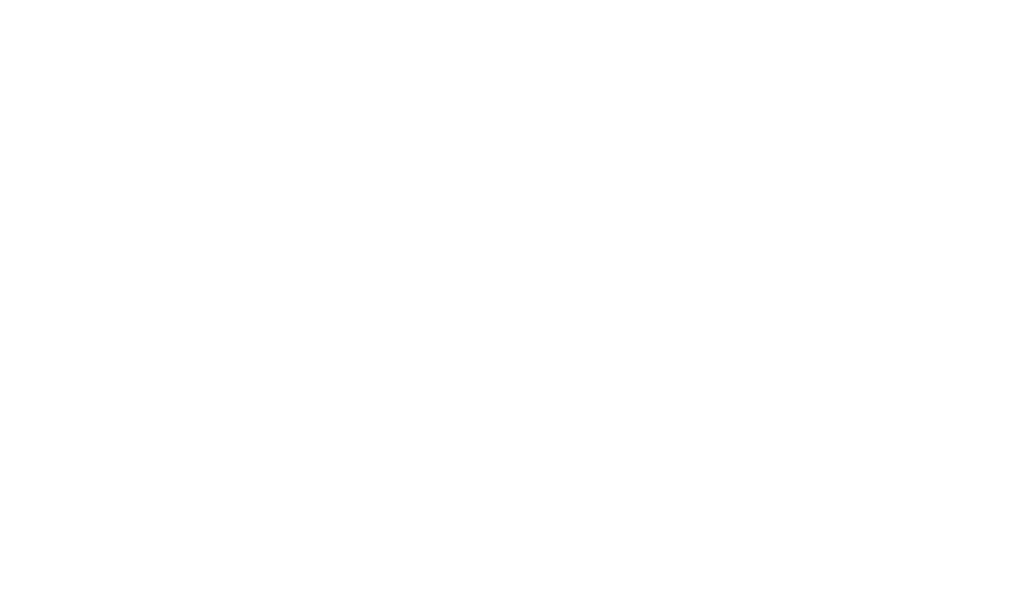 Funny T-Shirts design "Pillow Princess Tee"