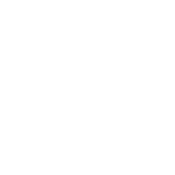 Funny T-Shirts design "People In Sleeping Bags Are The Soft Tacos Of the Bear World"