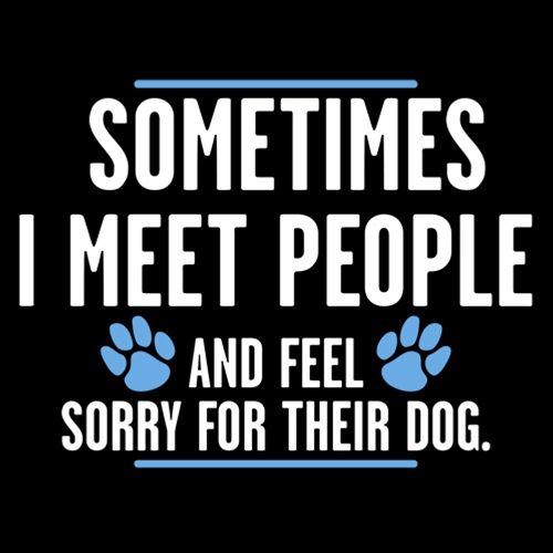 Funny T-Shirts design "Sometimes I Meet People And Feel Sorry For Their Dog"