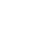 Funny T-Shirts design "My Mom Didn't Raise A Dummy, And If She Did It Was My Sister"